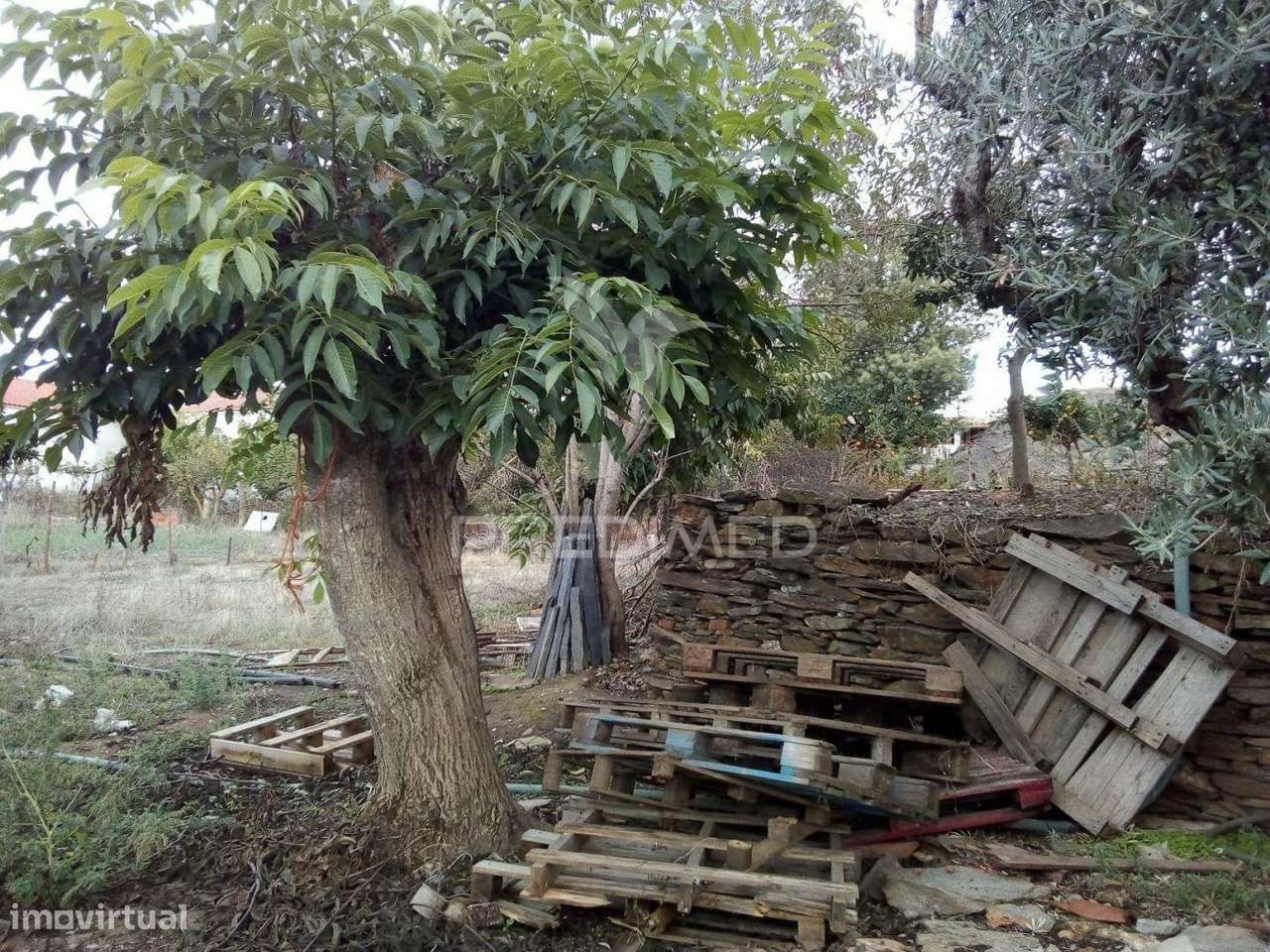 Terreno em Rio de Moínhos - Grande imagem: 5/10
