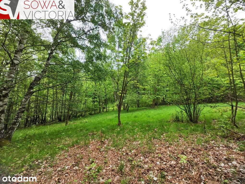 Działka usługowo - leśna w Piechowicach - Pełny obrazek: 4/5