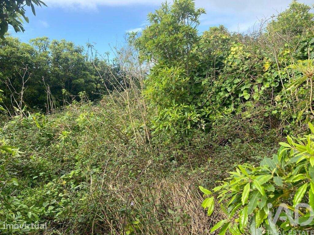 Casa de Campo T2 em Santo Amaro de 36,00 m2 - Grande imagem: 5/14