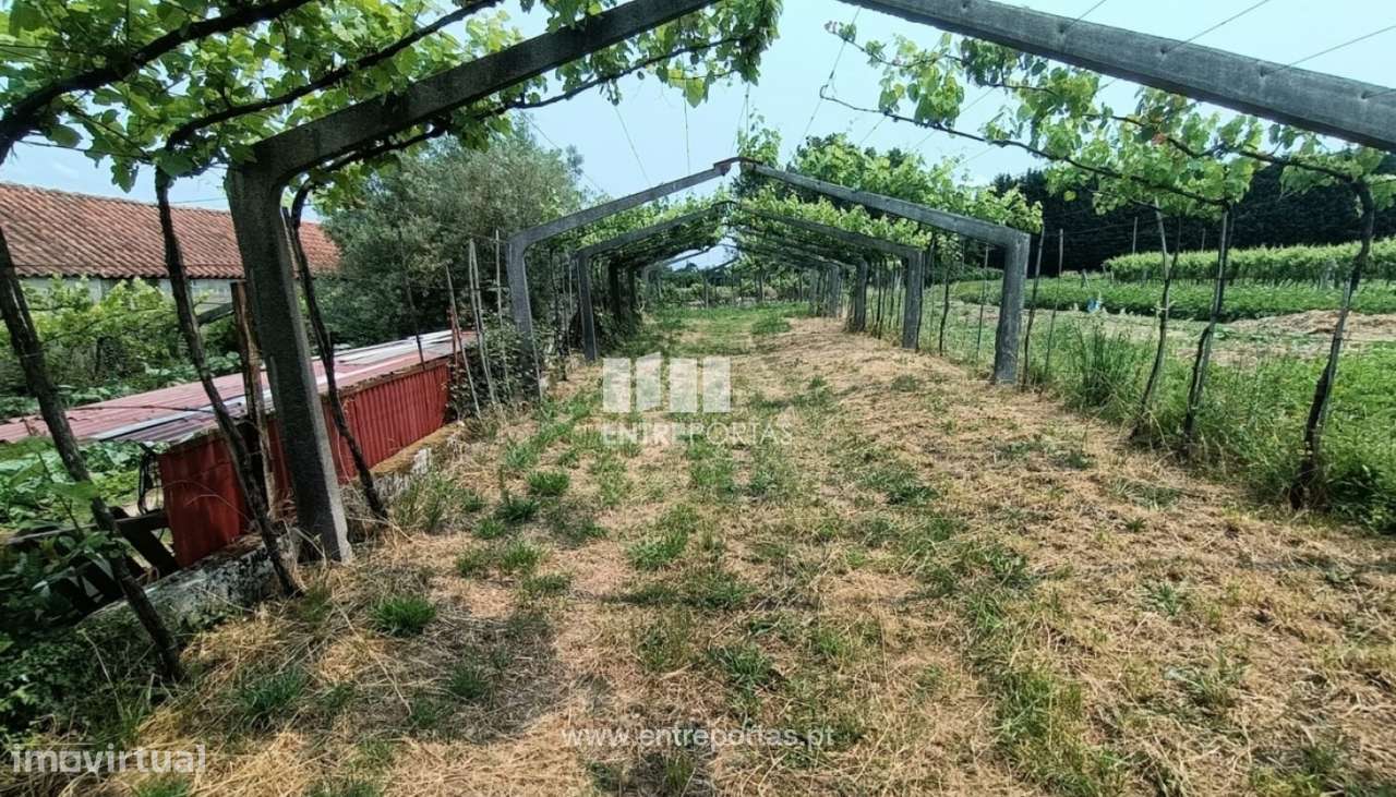 Venda de terreno para construção, Vitorino das Donas, Ponte de Lima - Grande imagem: 2/30