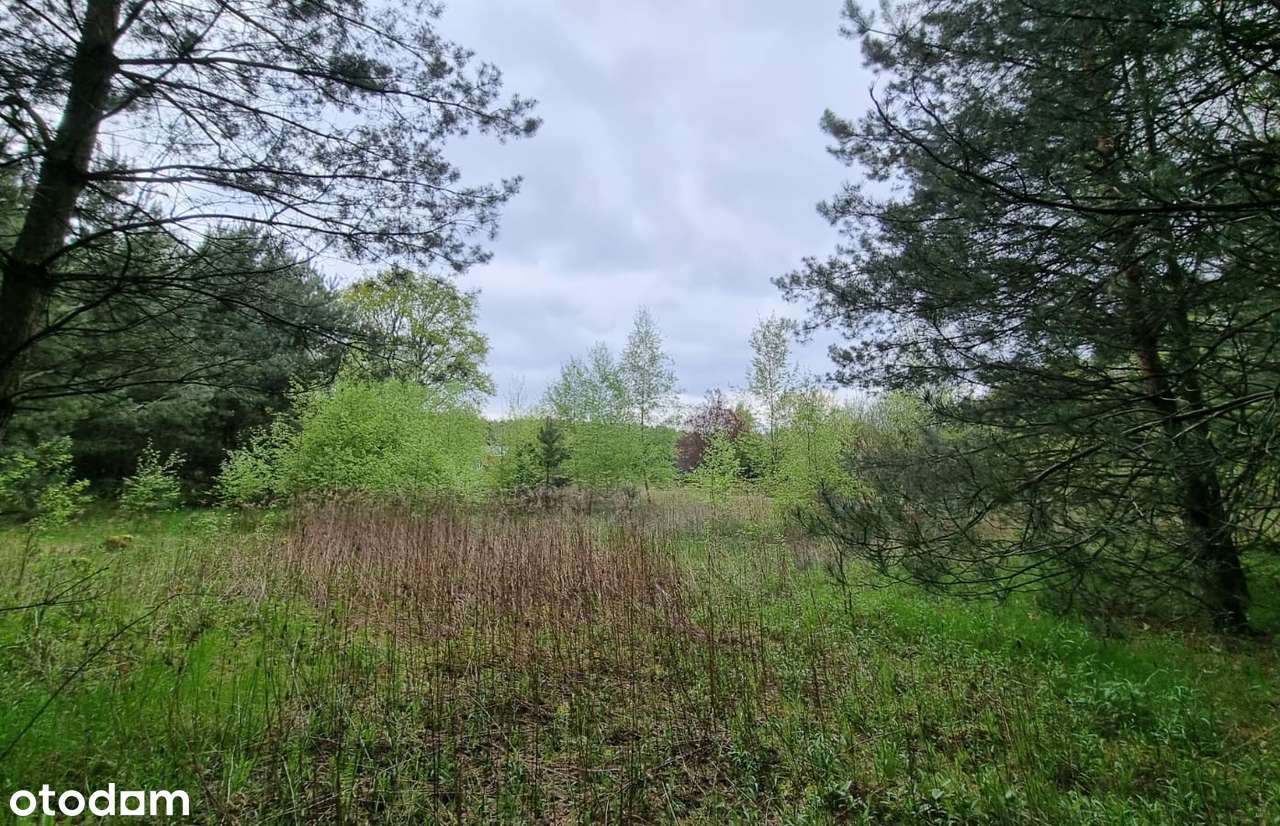 Strzelce gm Dobroszyce, WZ  fantastyczny teren przy lesie! od 232000zł-1