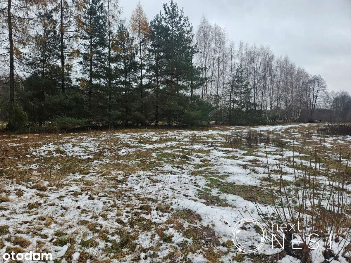 Teren mieszkaniowy do podziału - Pełny obrazek: 5/10