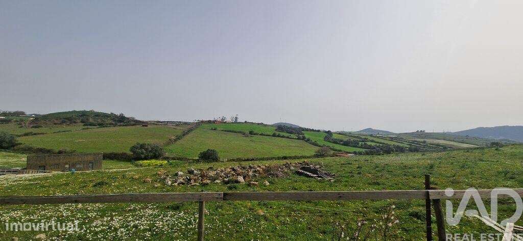 Terreno Agrícola em Ericeira - Grande imagem: 2/35
