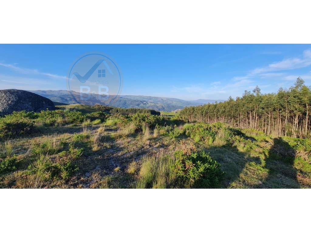 Terreno ideal para turísmo rural em Cabeceiras de Basto - Grande imagem: 5/6