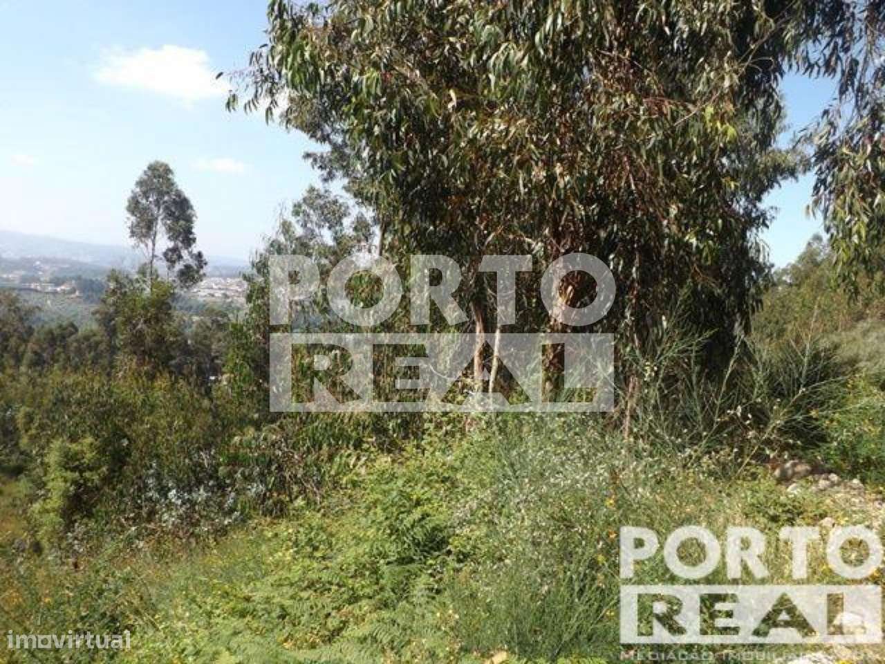 Terreno - Grande imagem: 5/7