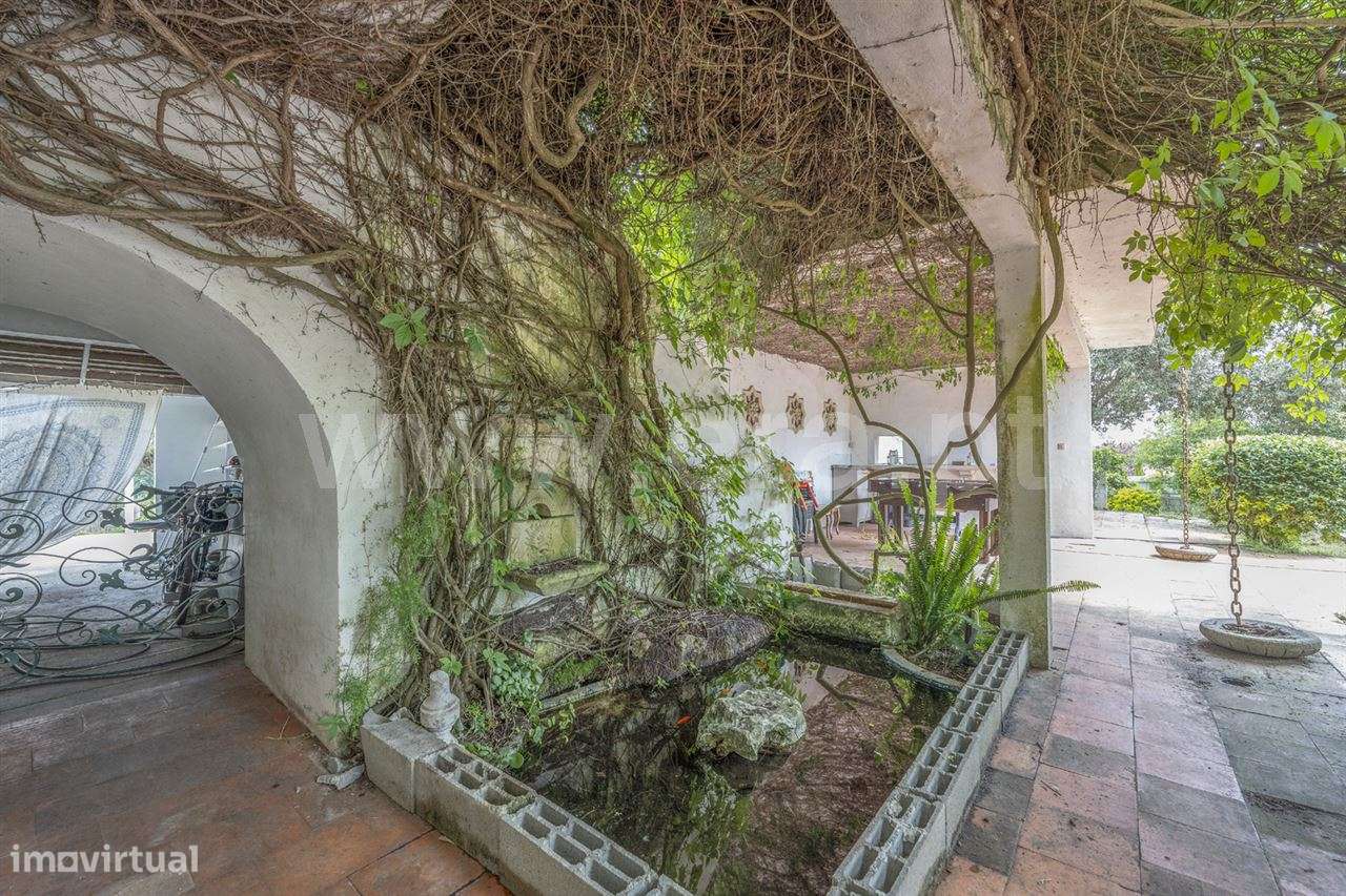 Magnifica Quinta T7; Verdizela-42