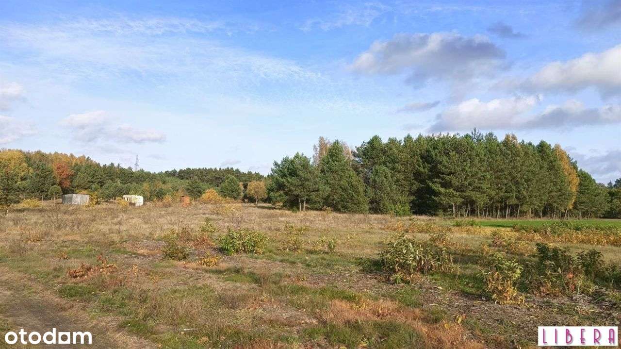 Tylko u nas! Działka, Godzimierz - Pełny obrazek: 4/14