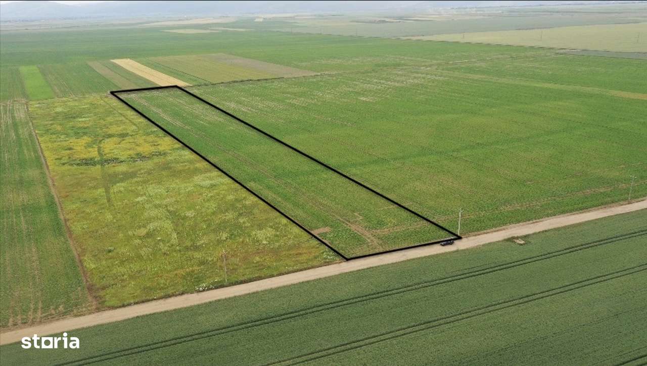 Teren exceptional pentru investitii industriale  langa Brasov-5