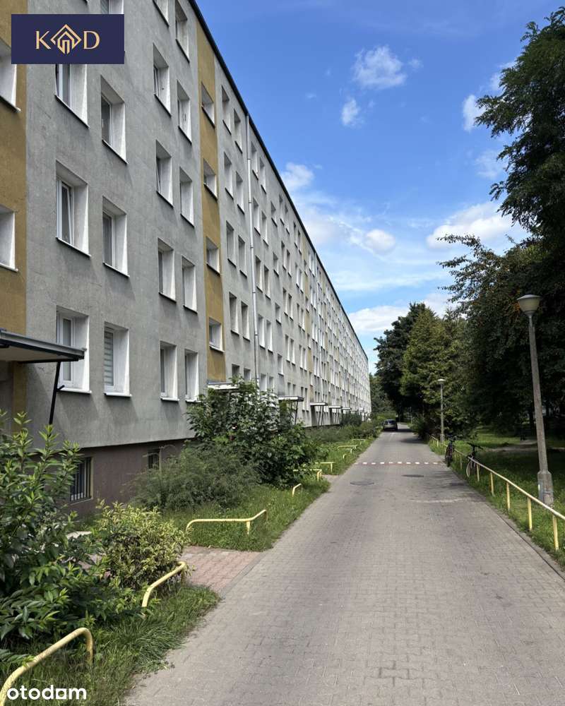 Mieszkanie na Winogradach, 3 pokoje