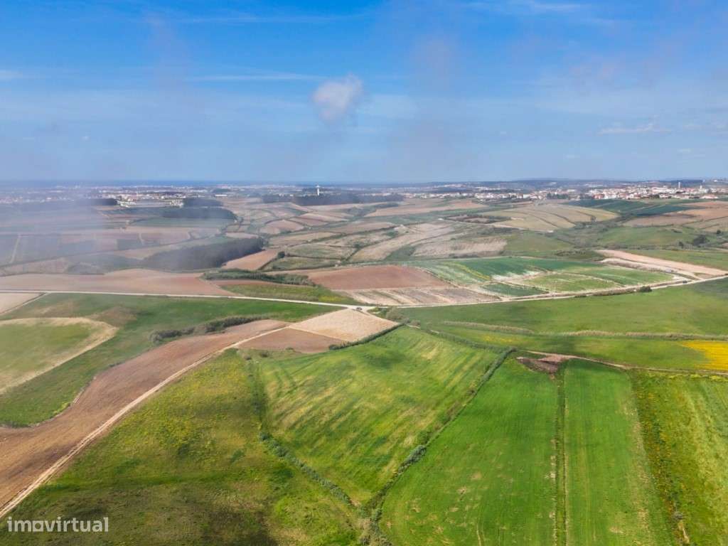 Venda de 2 Terrenos Agrícolas na zona do Paimogo, Lourinhã-23