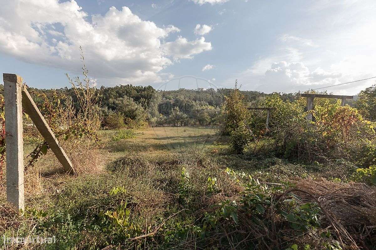 Terreno  para venda - Grande imagem: 4/7