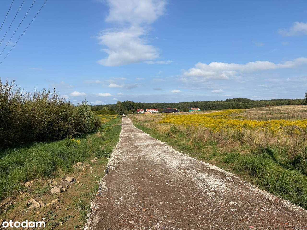 Działka w Tomaszkowie - nowa cena !-9