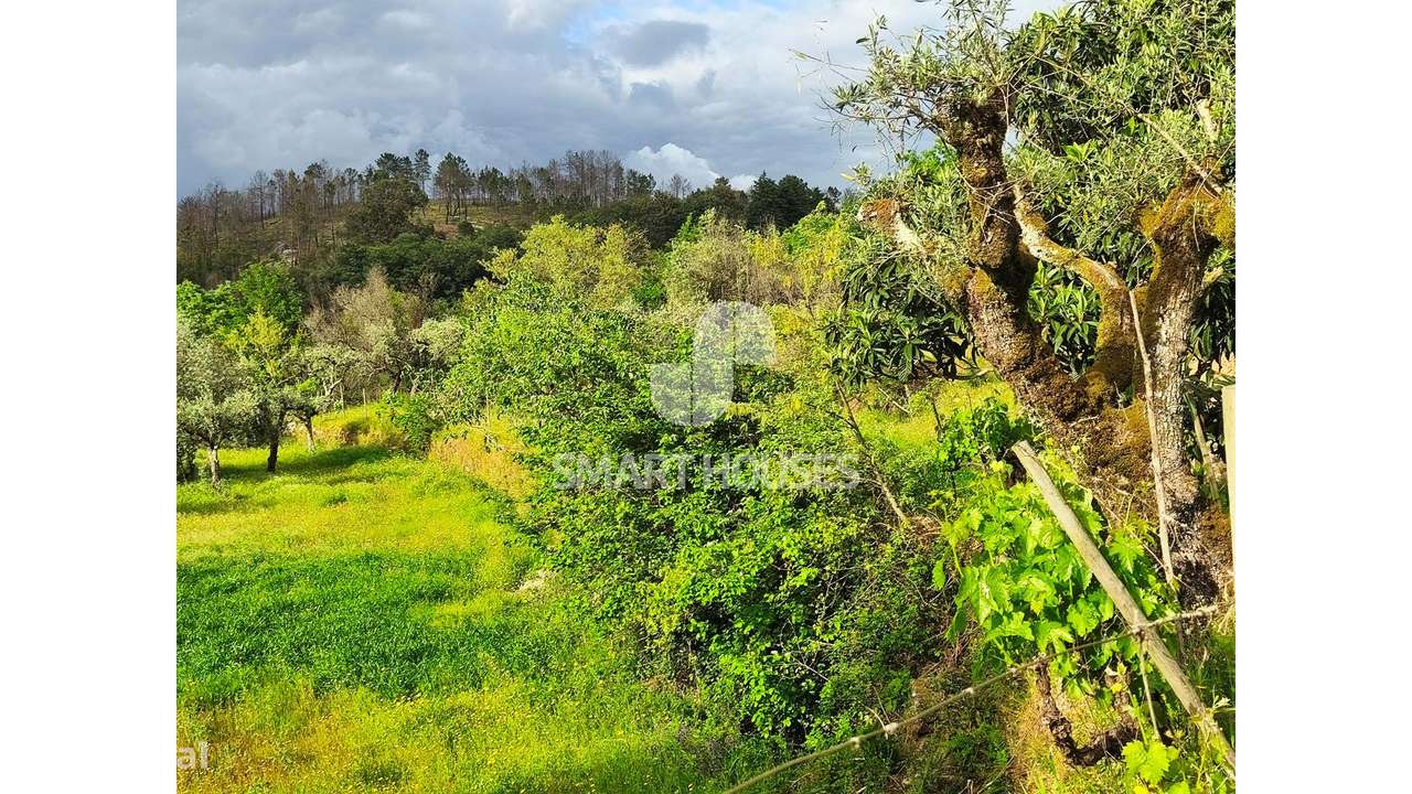 Quintinha em Vila do Mato-23