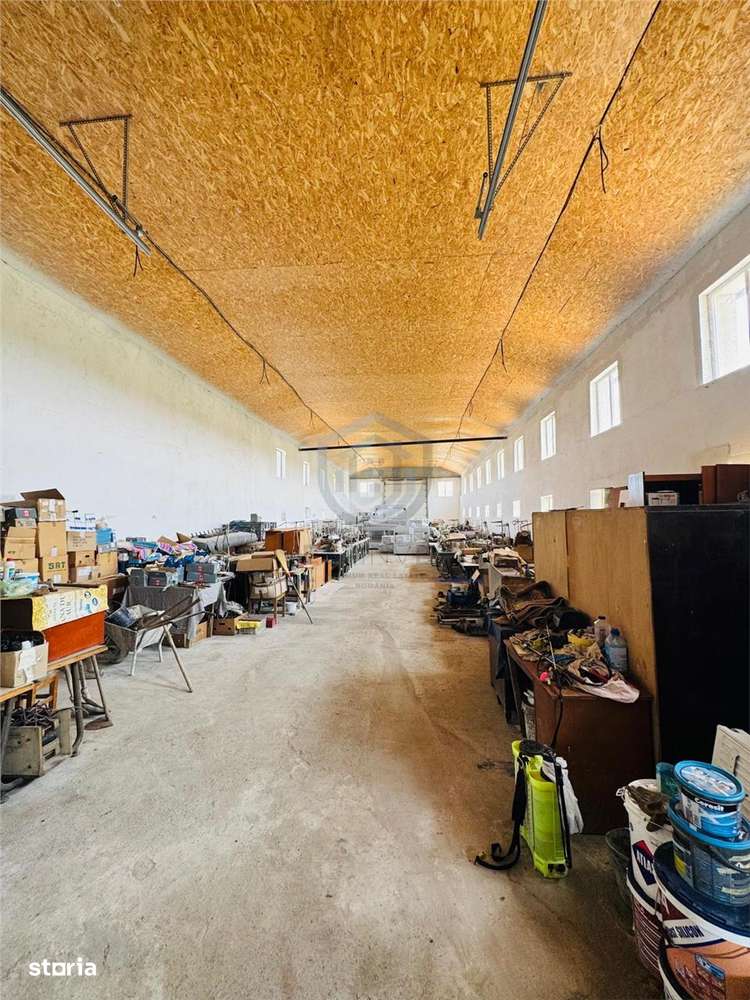 Hala 373 mp + teren in Santaul Mic - Imagine principală: 4/8