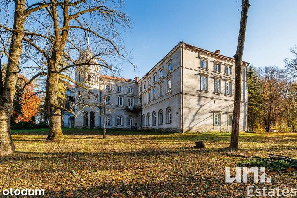 Wyjątkowy Pałac Ostaszewskich | Wzdów | Okazja - Pełny obrazek: 4/19