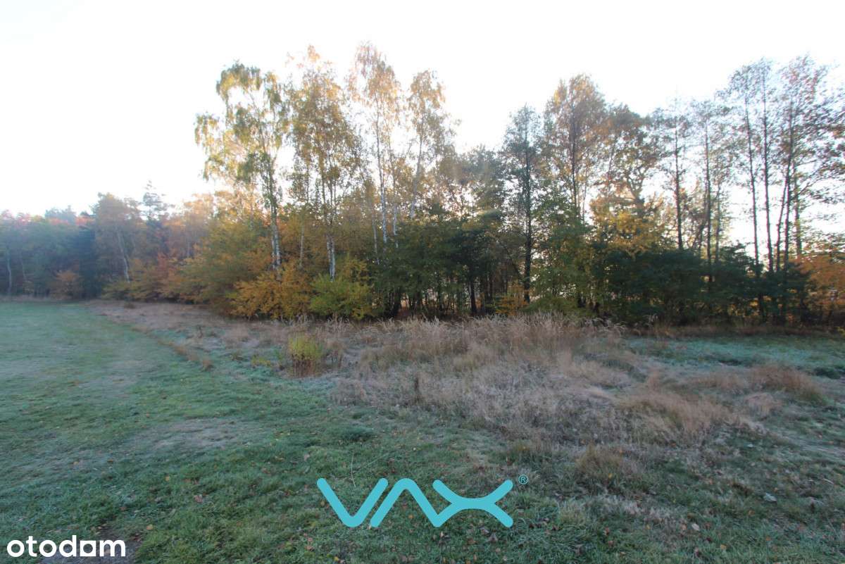 Działka z lasem-2