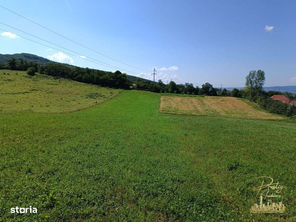 Teren extravilan 9093 mp de vanzare in Josani, com. Magesti - Bihor - Imagine principală: 5/8