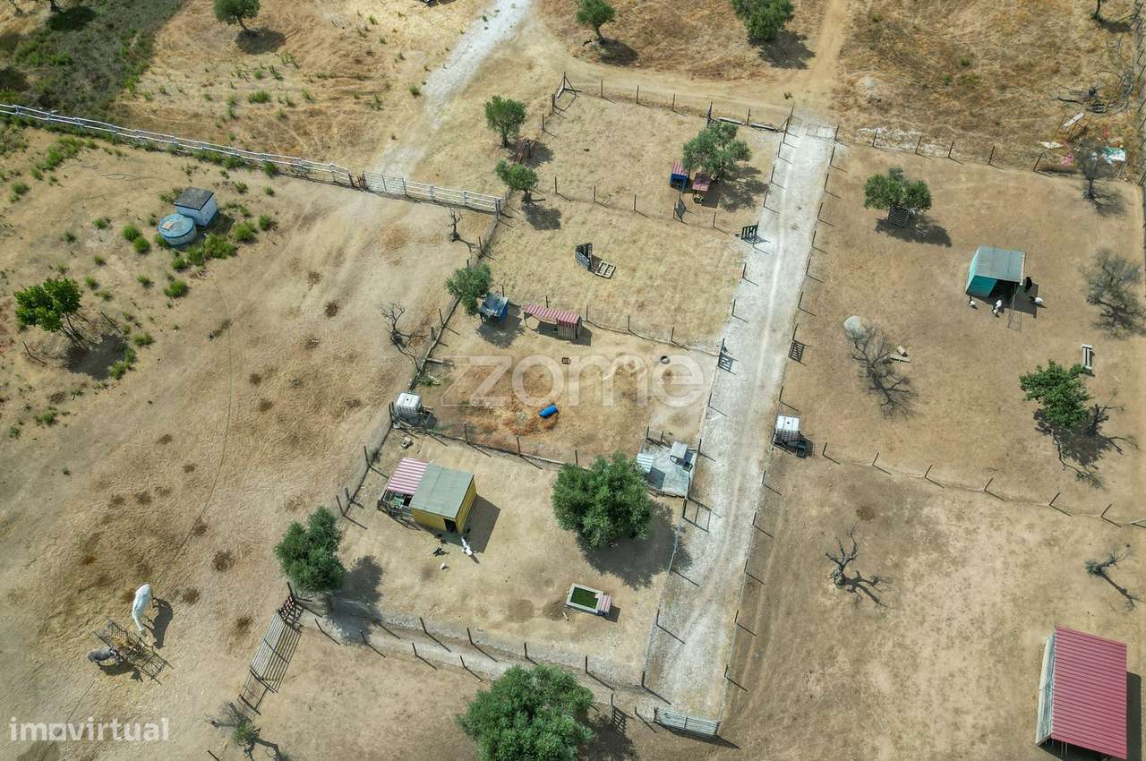 Terreno Rústico com projeto aprovado - REDONDO - Grande imagem: 5/6