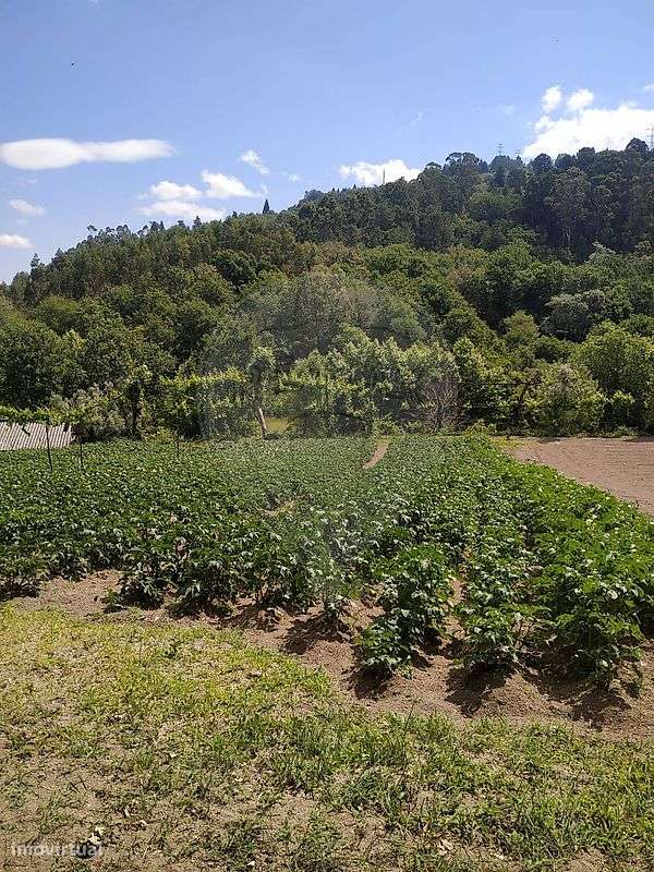 Terreno  para venda - Grande imagem: 2/24