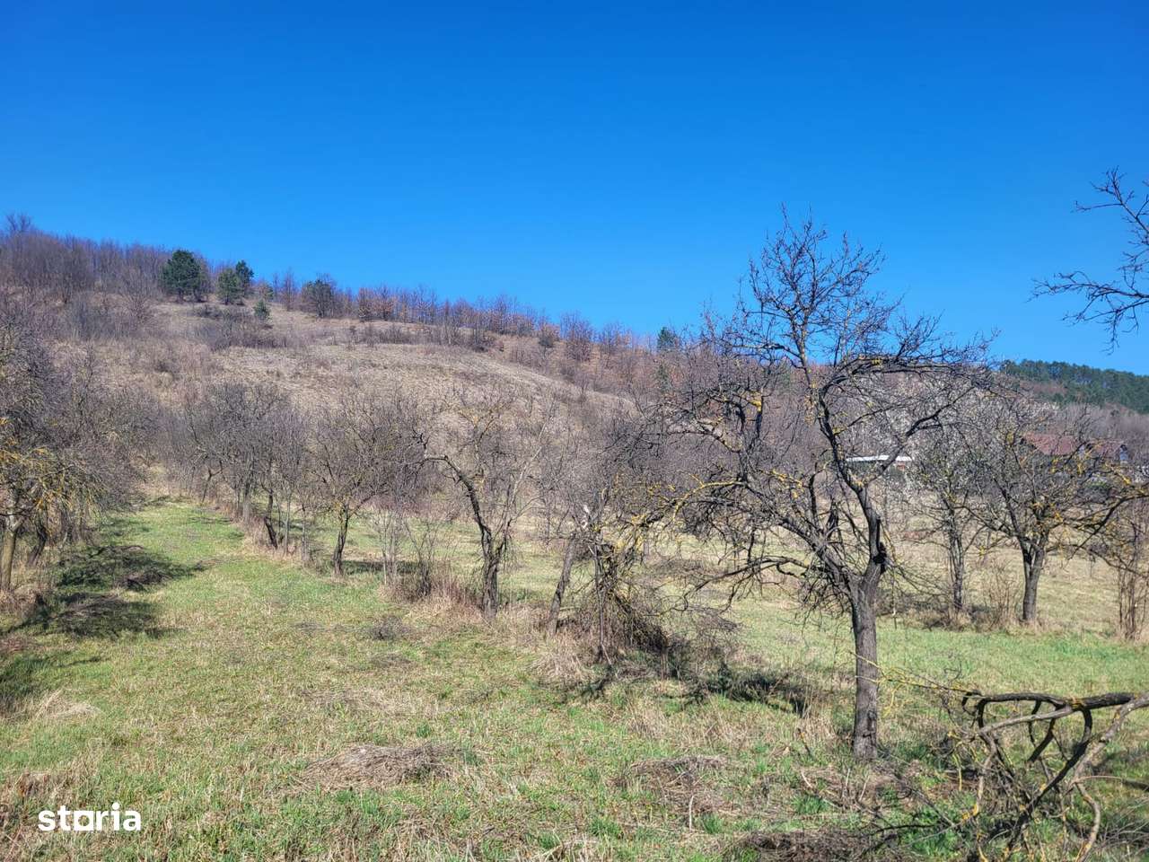 Parcele de vânzare în Tinăud Bihor-7