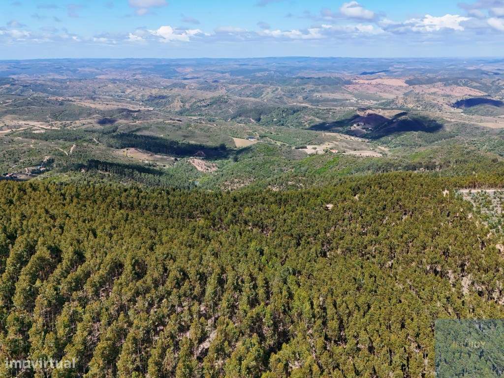 Terreno em São Teotónio, Odemira-21