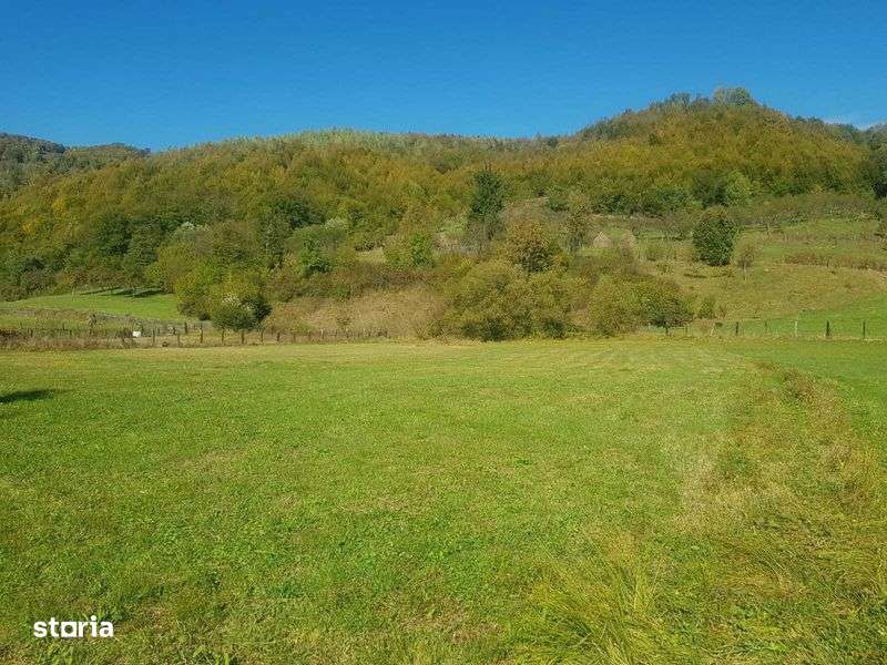 Teren de vanzare  sau  Inchiriere - Imagine principală: 5/7