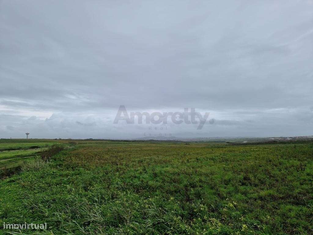 Terreno Para Agricultura em Torres Vedras-3