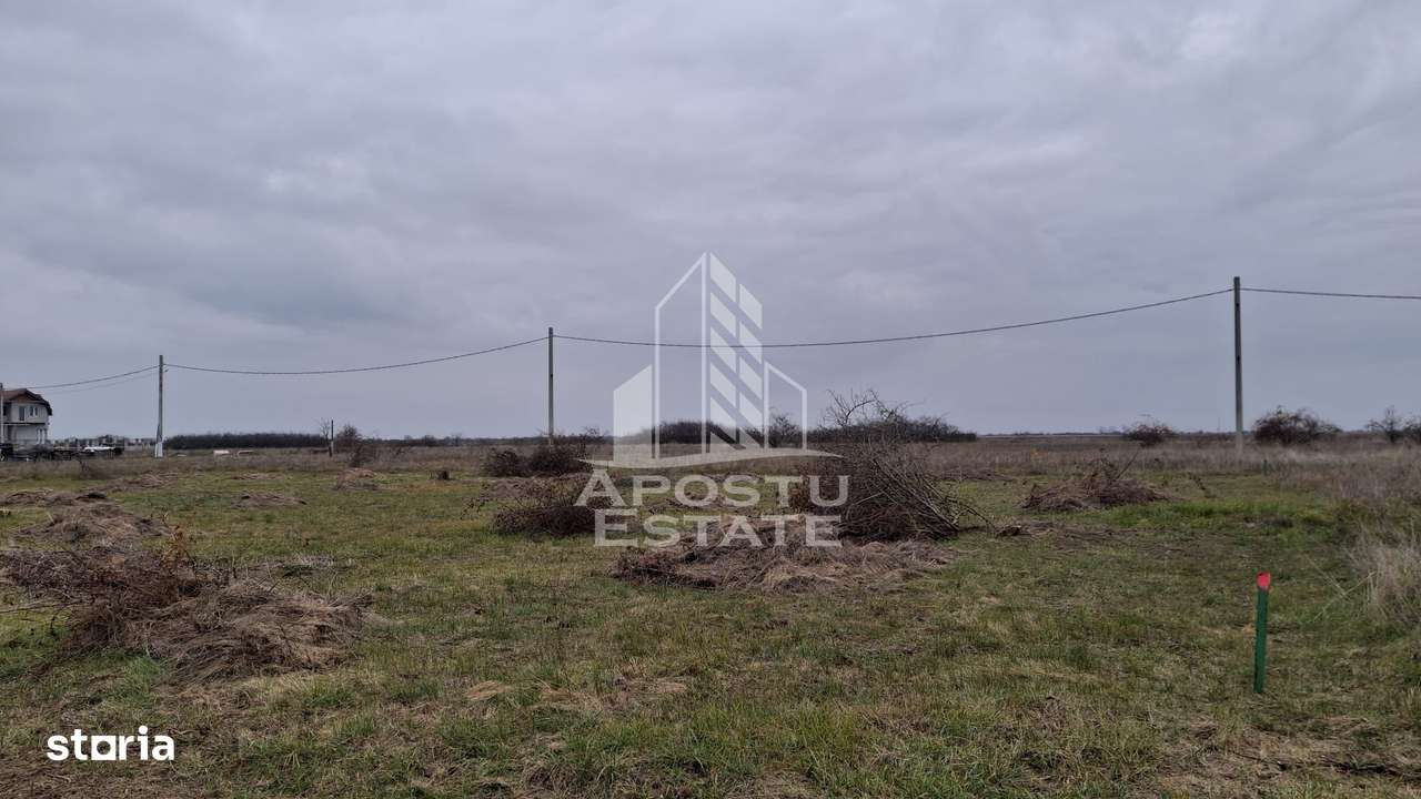 Teren intravilan 500mp Mandruloc - Imagine principală: 4/6