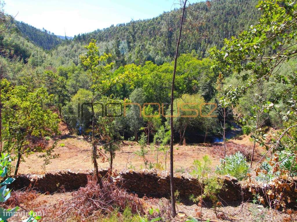Quinta Isolada com Margem de Rio e Potencial de Eco-Retiro - Arouca-44