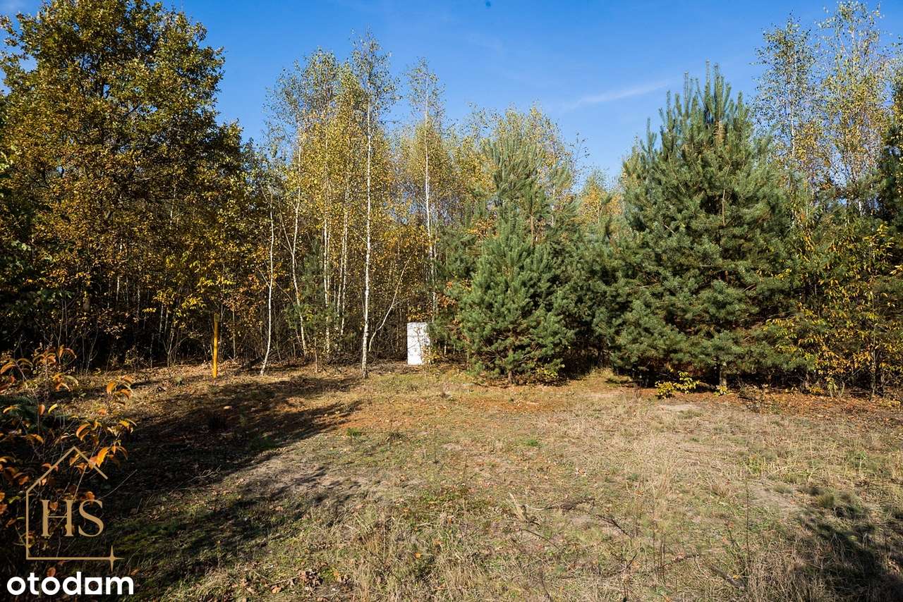 Działka budowlana w otulinie drzew/Żabia Wola/ 35 min do Warszawy-6
