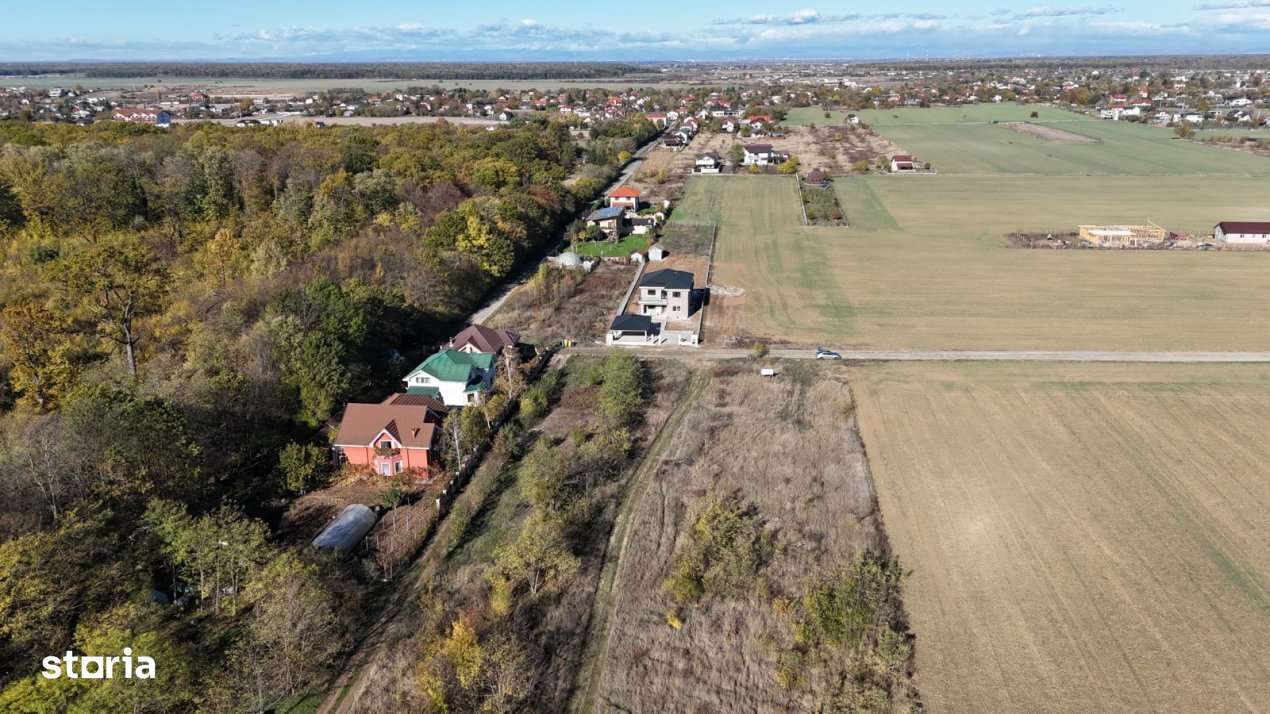 Snagov padure - Teren intravilan cu PUZ aprobat - Imagine principală: 3/9