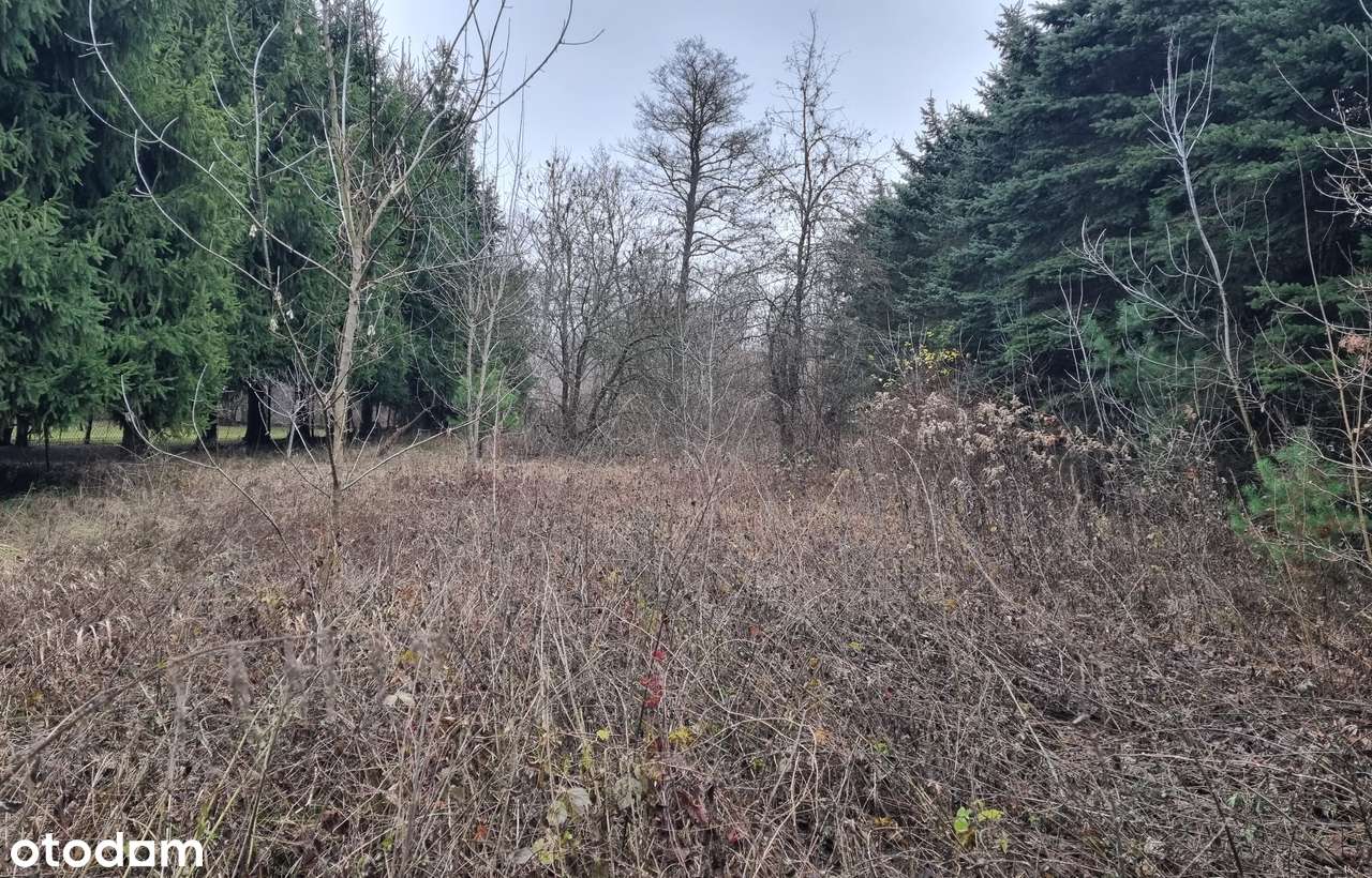 Działka nad Wkrą Błedowo zdostepem do wody - Pełny obrazek: 4/4