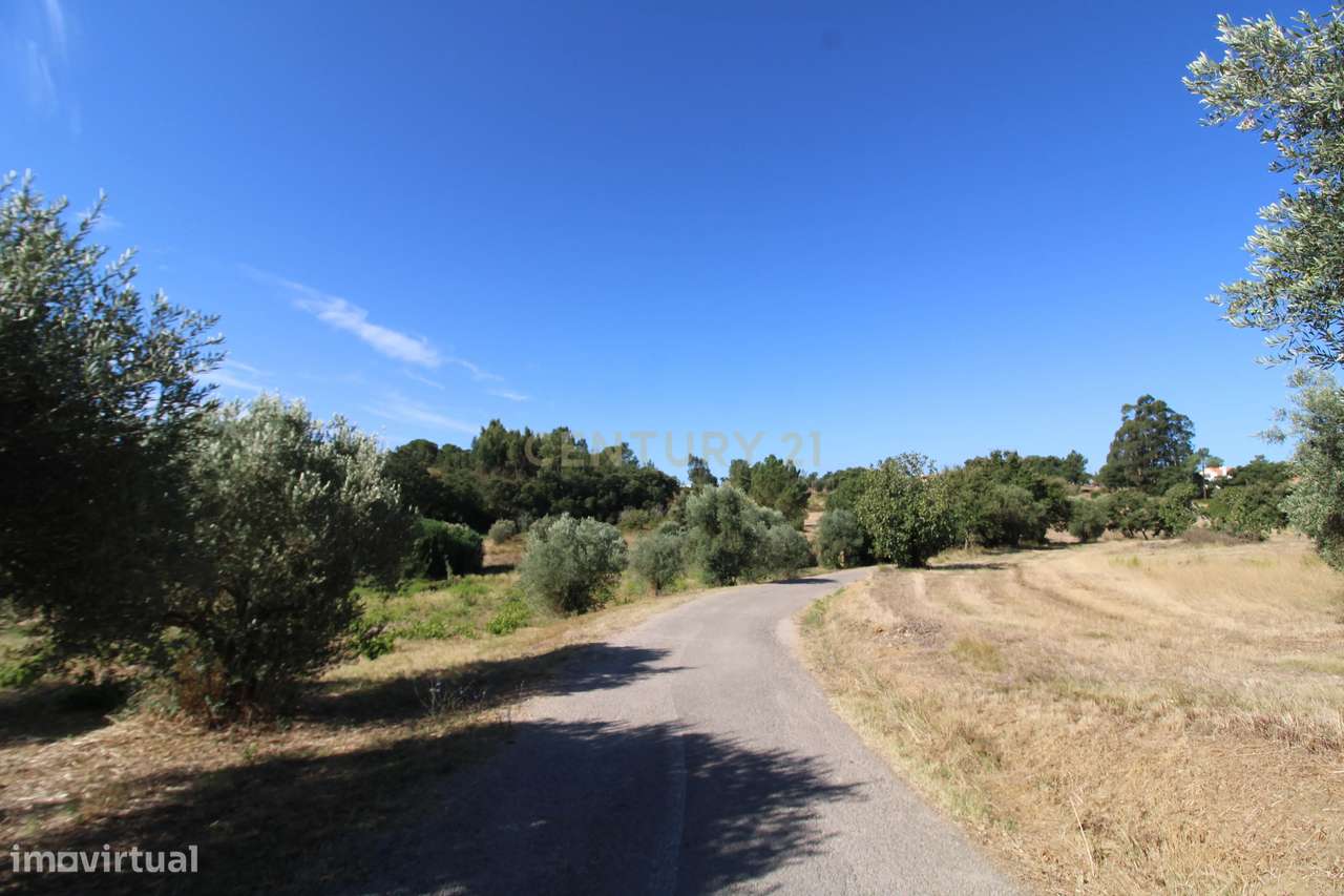 2 Terrenos Rústicos c/poço de água próximo da Cidade de Tomar - Grande imagem: 3/12