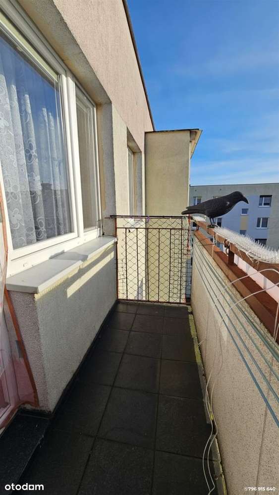 36m2 / 2 pokoje / Południe - Planty-8