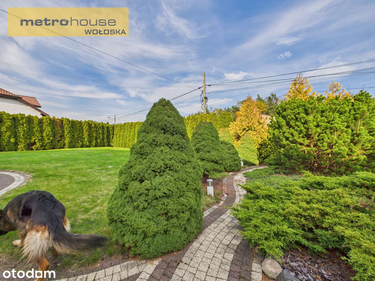 Dom parterowy na Białołęce-14