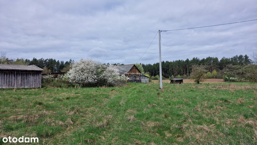 Urocze siedlisko w Gminie Janów