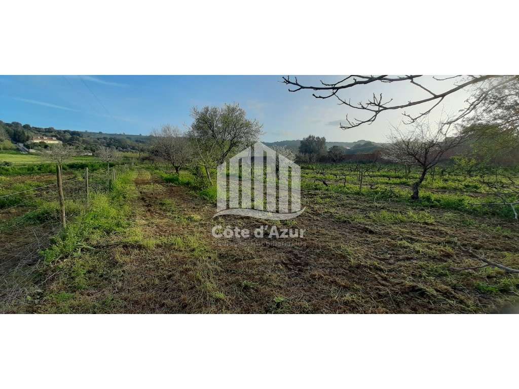 Terreno com 4400m2 em Quinta do Anjo - Grande imagem: 2/11