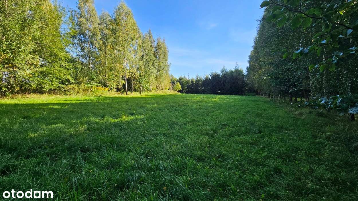 Działka budowlana Kamiennik Wielki, gmina Milejewo-3