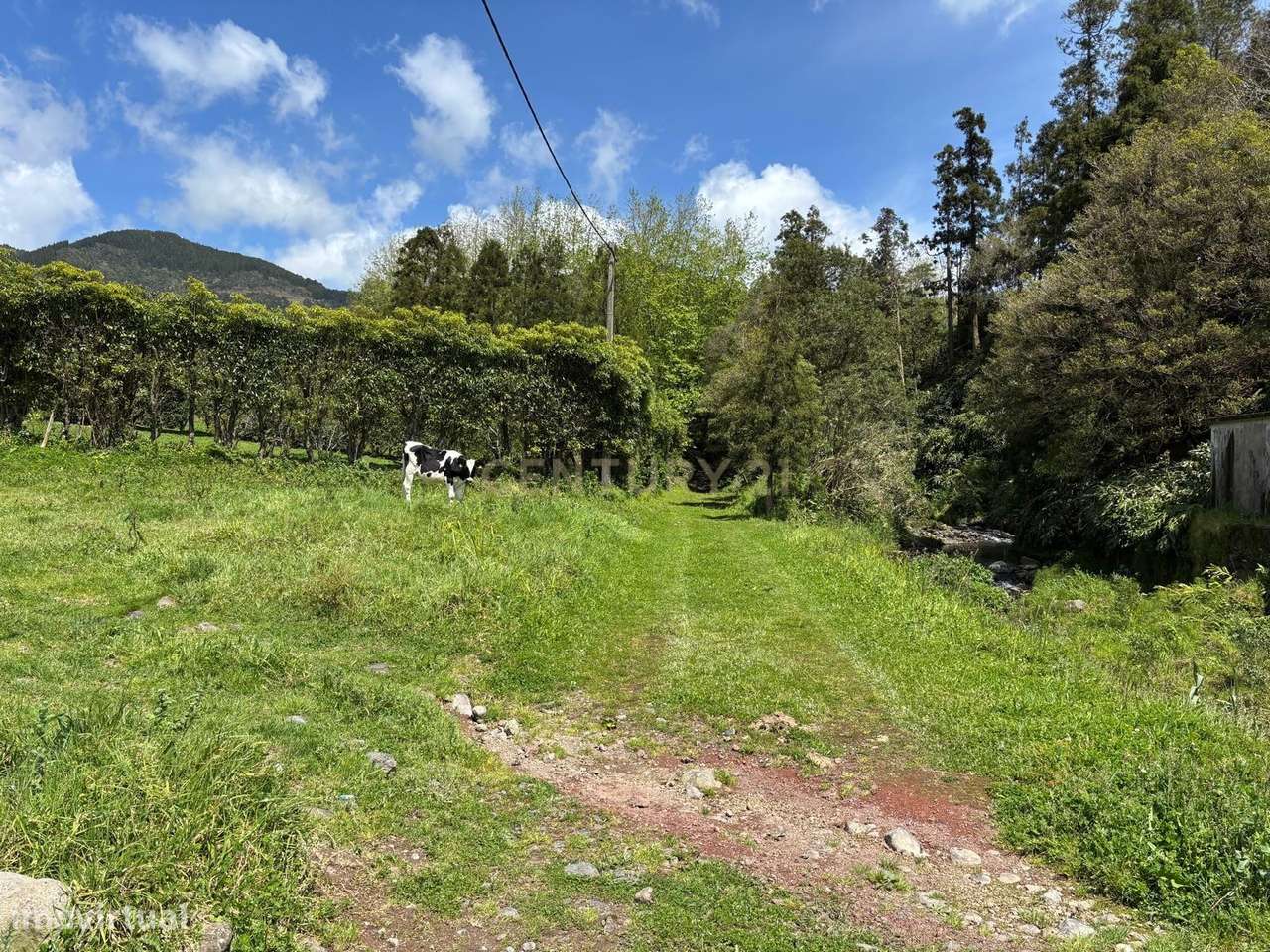 Terreno de 1741m² em Nossa Senhora dos Remédios, Povoação - Grande imagem: 4/28