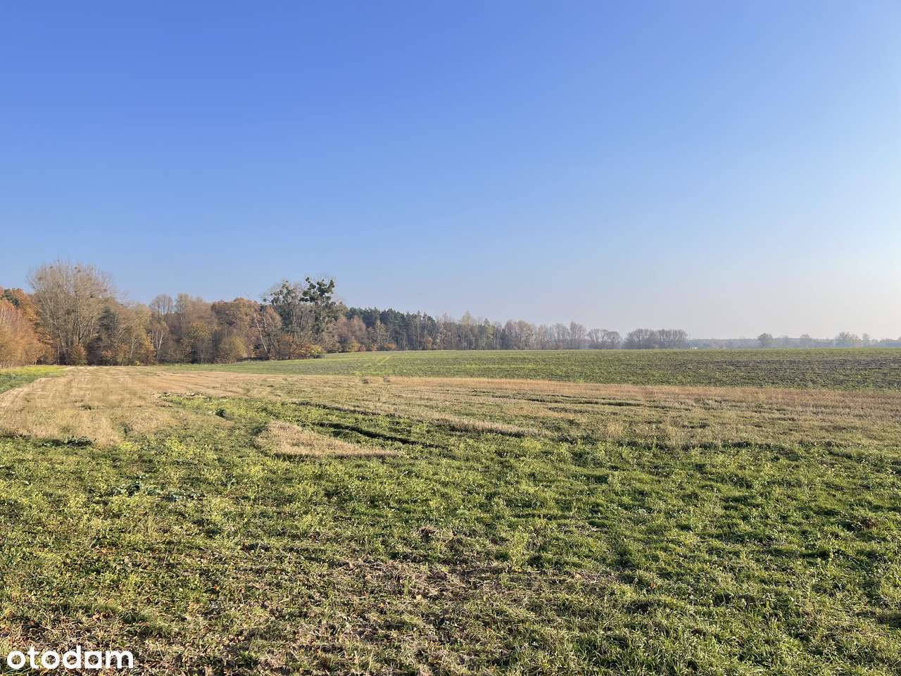 DZIAŁKI NA SPRZEDAŻ – OSIEDLE SŁONECZNA POLANA - Pełny obrazek: 4/20