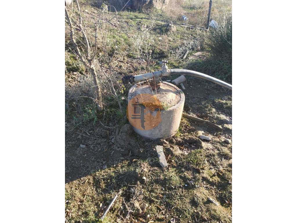 TERRENO COM RUINA - 4.960 M2 - COM NORA - ÁGUA DA BARRAGEM NA JUNQU...-29