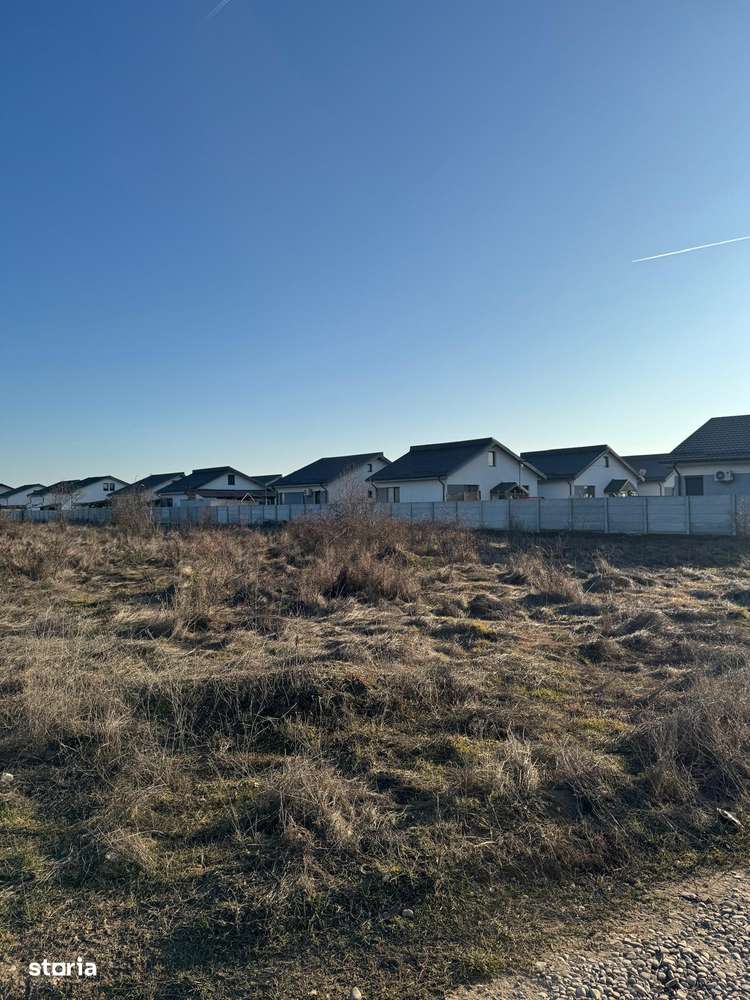 Vanzare Teren Magurele  10000mp-5