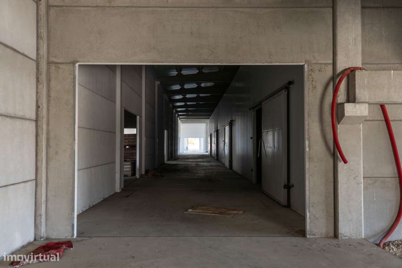 Entreposto em A-dos-Cunhados 8040m2-8