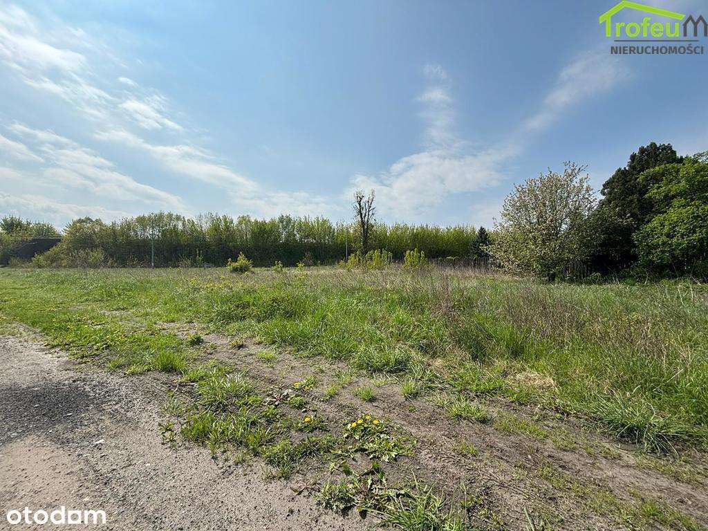 Działka! 2467M2! Spokojna okolica! Od zaraz! - Pełny obrazek: 4/4