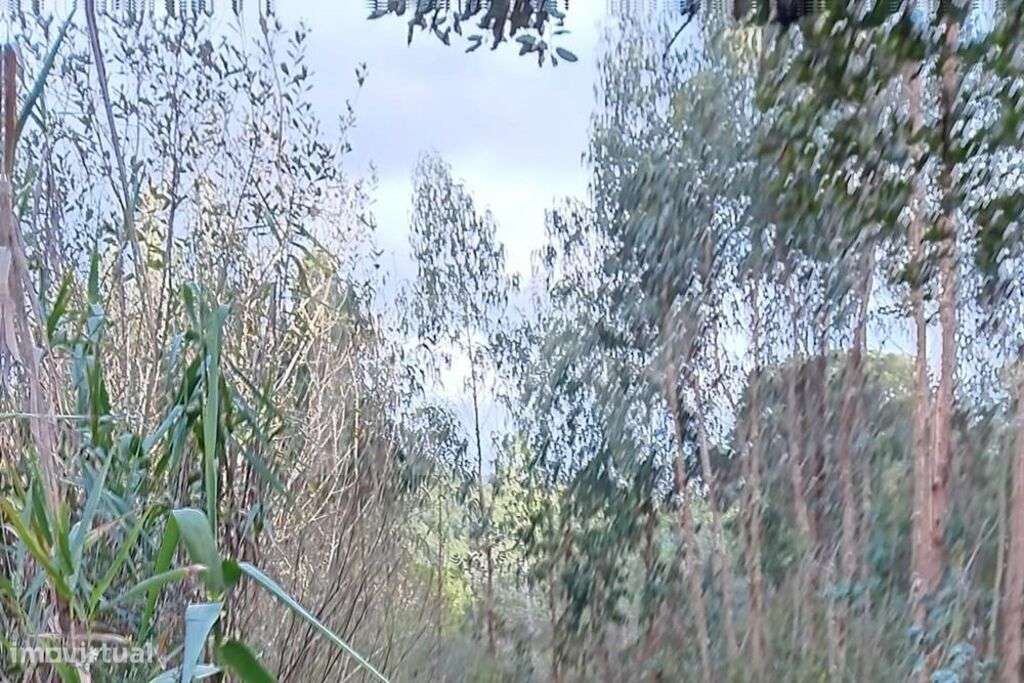 Venda de terreno rústico com 1.062m2 em Alcainça, Mafra - Grande imagem: 5/23
