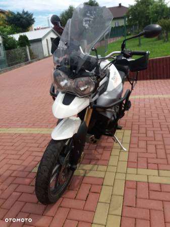 Triumph Tiger - 4