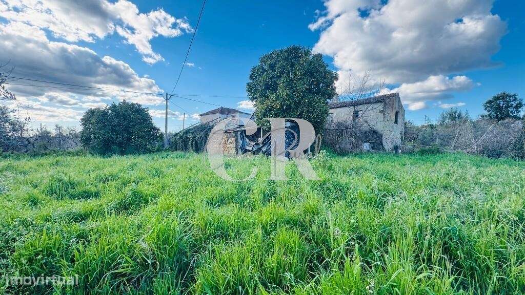 Quinta com casas de pedra para recuperar, poço e furo-33