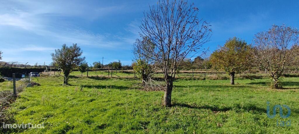 Terreno em Viseu de 7026,00 m2