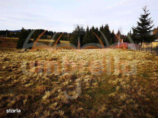 De vanzare teren, 12.300m²15€ m² - Imagine principală: 5/7