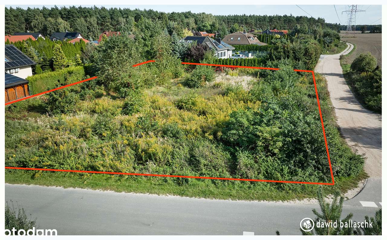 Duża dziaka budowlana, wszystkie media, las - Pełny obrazek: 5/16